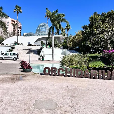 El Faro Vacaciones En *